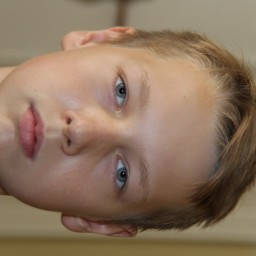 Ilja Lezevskis